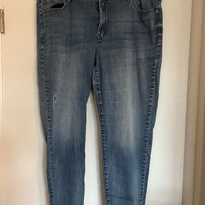 Lane Bryant - Classic Blue Women's Jeans